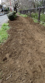 130326no.939̐؂芔PĐnꂽi㐅E݁j