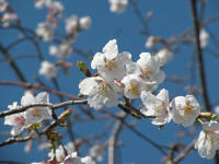 䋴`֖싴Ԃ̃fnN.20FJ