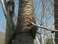 3/25No.311Q͂ɐԂ݂܂