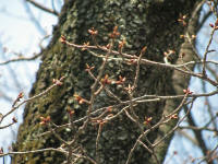 3/25kNo.2Vv[gS38Q͂ɖc