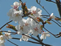 3/25䋴`֖쒬Ԃ̃fnNo.20J